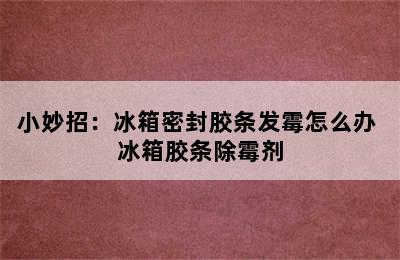 小妙招：冰箱密封胶条发霉怎么办 冰箱胶条除霉剂